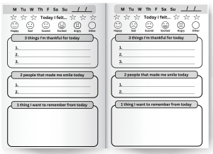 NEW! 3 2 1 Gratitude Journal